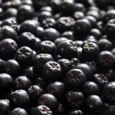 RAUSCH Trockenshampoo Fresh Aeros Spr - COSMONDO