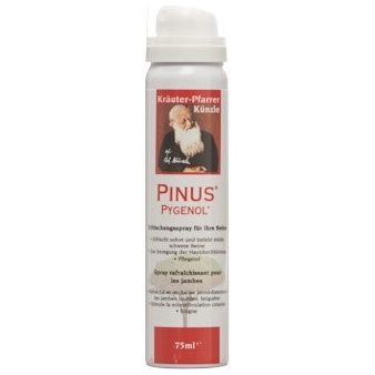 Pinus Pygenol Erfrischungsspray - COSMONDO