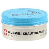 puralpina Murmeli-Kräutersalbe kühlend - COSMONDO