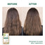 KLORANE Shampoo-Bar Hafer Bio