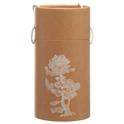 BERG&KRAFT Pinus Cemb Duftho Pine m äth Öl&Späne - COSMONDO