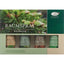 AROMALIFE Geschenkset Raumspray Waldbaden 4x30ml - COSMONDO