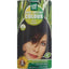 HENNA PLUS Long Last Colour 3 dunkelbraun - COSMONDO