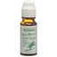 BERGLAND Teebaum Pickeltupfer - COSMONDO