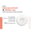 AVENE SUN Kompaktsonnencreme Gold SPF50+