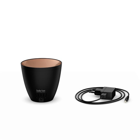 AROMALIFE Zoe Aromavernebler Amber Light schwarz - COSMONDO