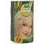 HENNA PLUS Long Last Colour 10.01 silberblond - COSMONDO