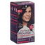 PERFECT MOUSSE 388 Dunkles Rotbraun - COSMONDO