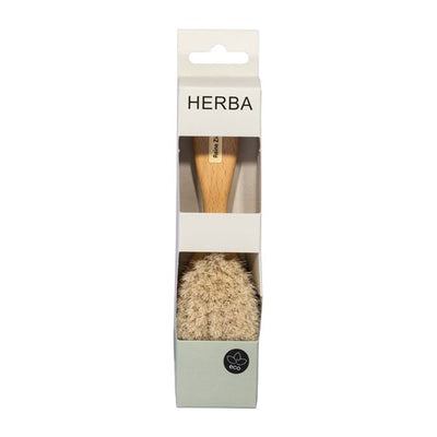 HERBA Babybürste Buchenholz - COSMONDO