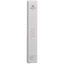 ALESSAN NAIL SPA Polish File - COSMONDO